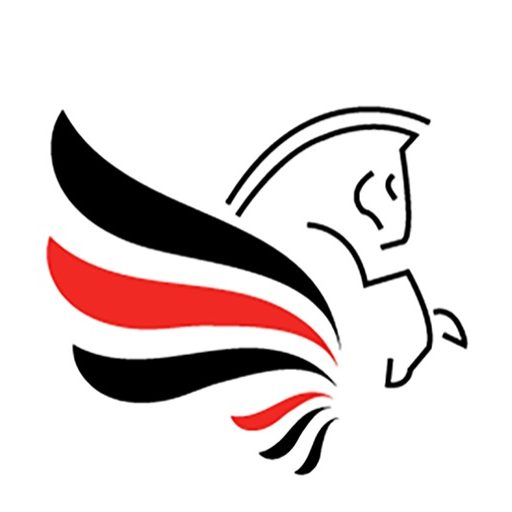 cropped-logo-pegasus.jpeg